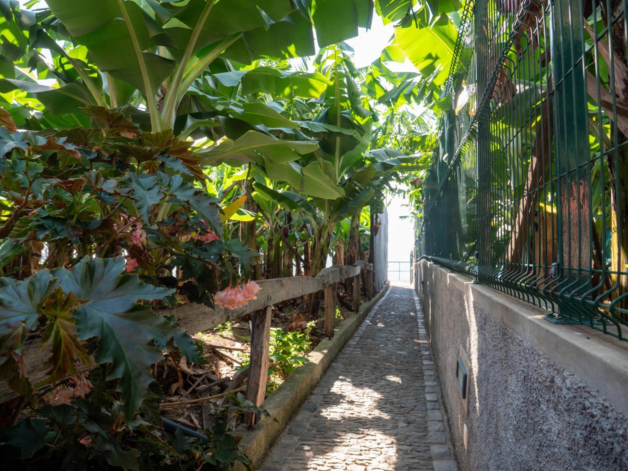 폰타도솔 Casa Dos Anjos 빌라 외부 사진
